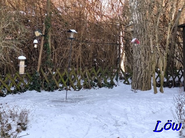 11.1.2026 - Vogelf&uuml;tterung